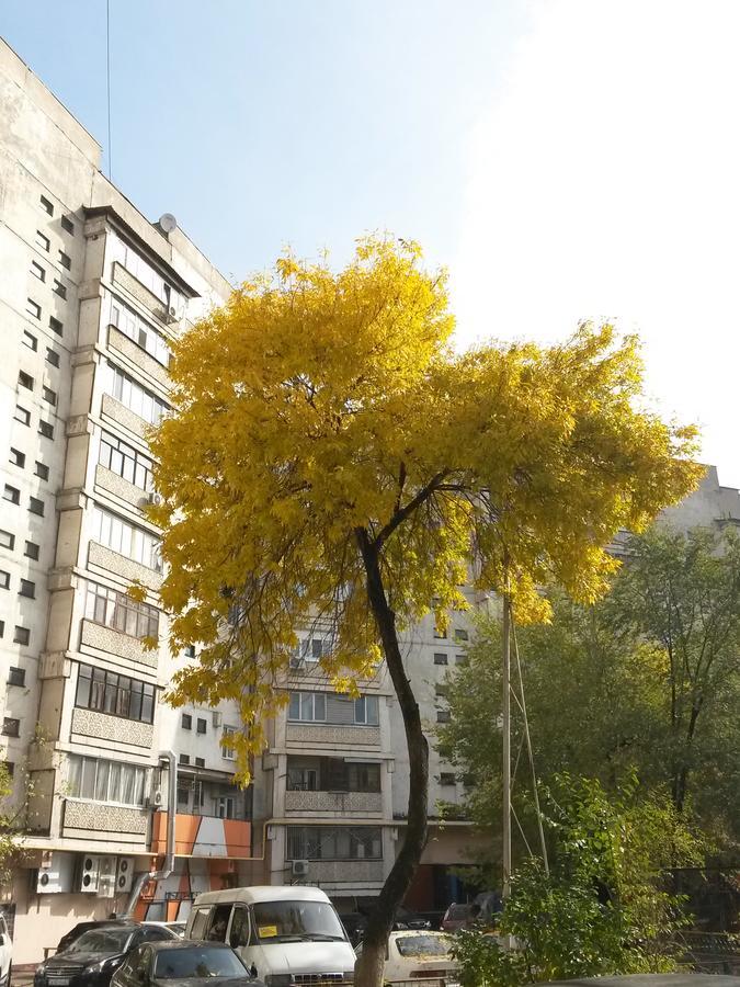"Арбат" Центр Квартира- Apartment "Arbat" الماتي المظهر الخارجي الصورة
